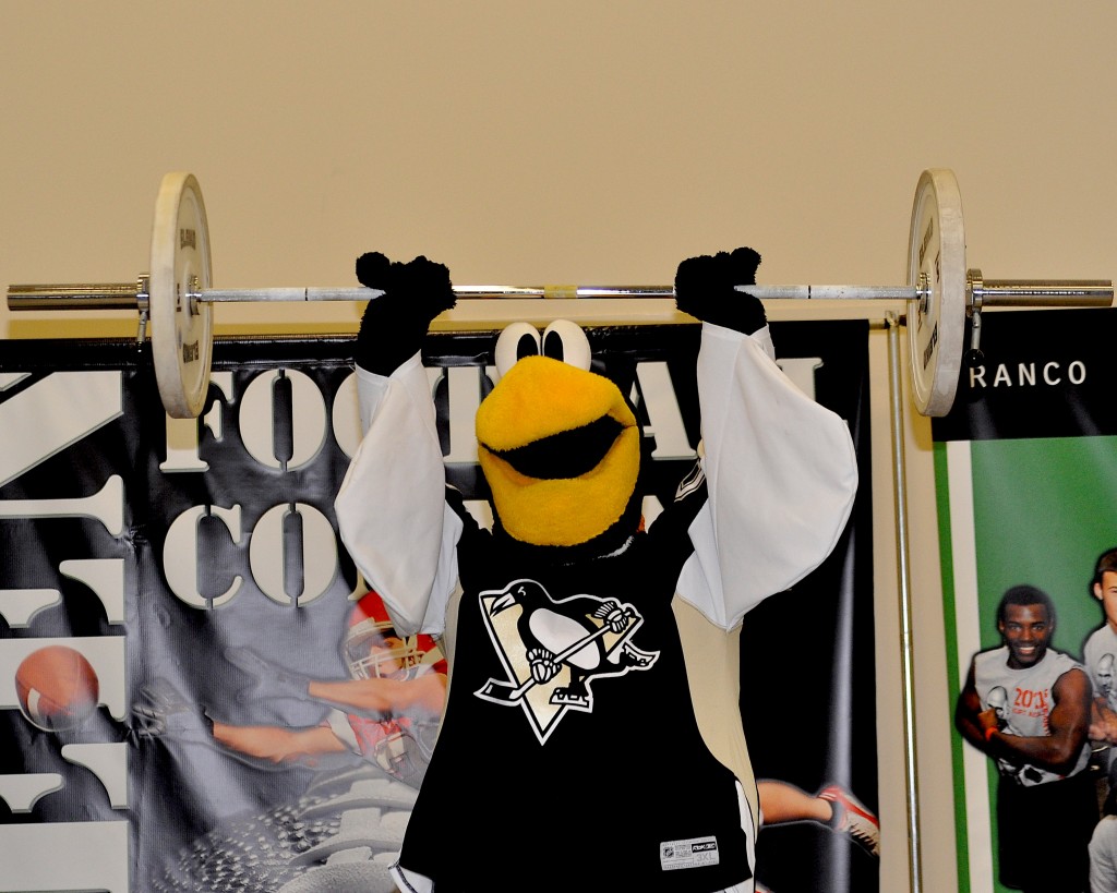iceburgh