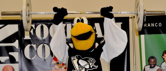 iceburgh iceburgh
